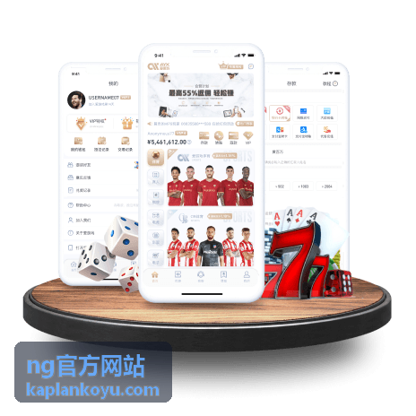 ng官方网站使用指南操作步骤配图